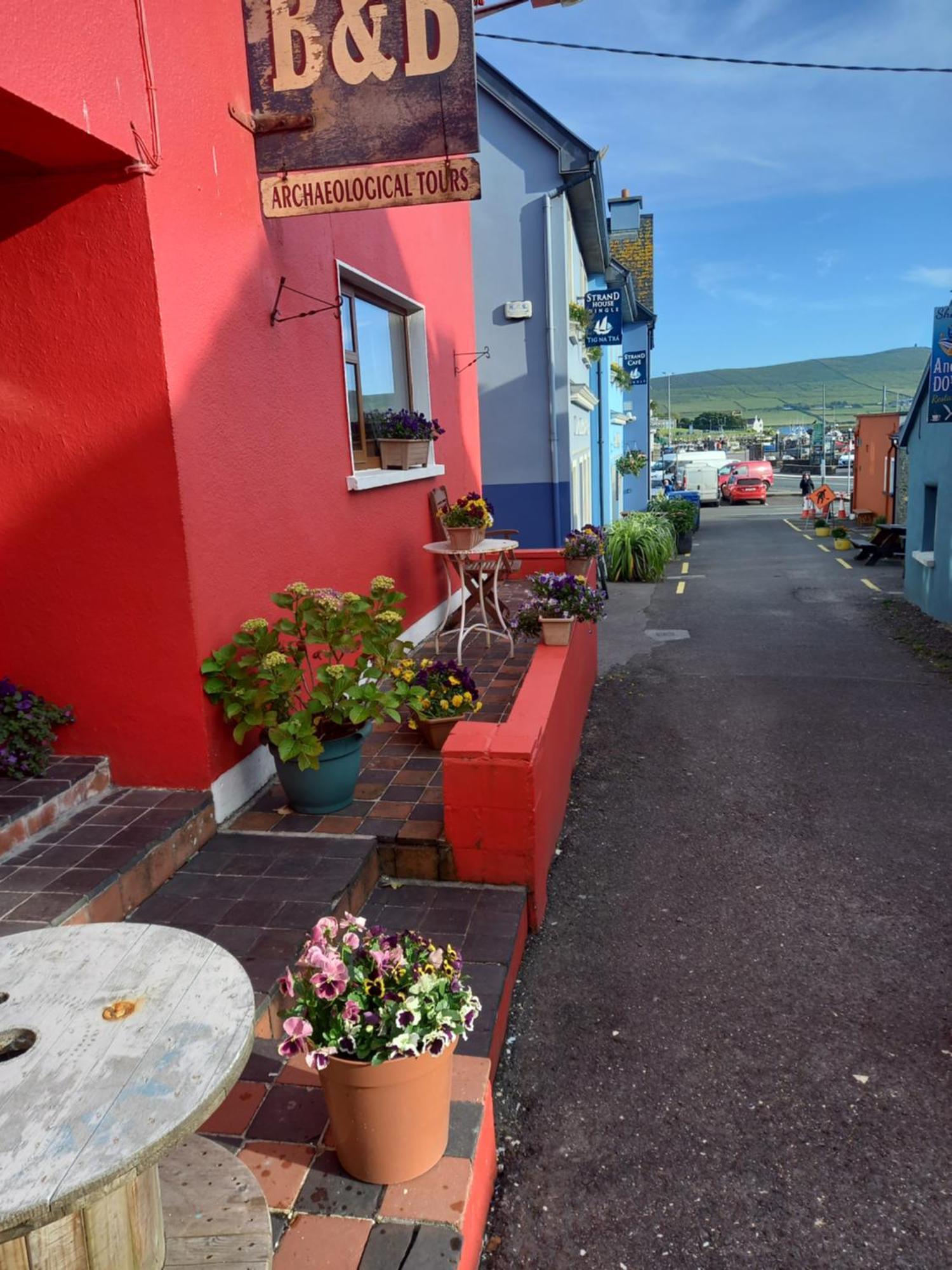 Baywatch Inn Dingle Dış mekan fotoğraf